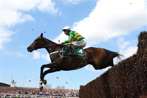 aintree tips